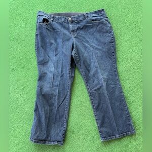 Women’s petite CJ Banks denim jeans.  Pockets x 4. 2 in front and back.